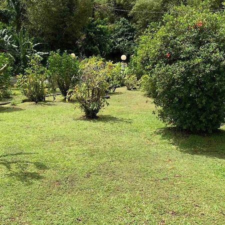972B-Coin De Verdure Au Pied De La Montagne Pelee Le Morne-Rouge Eksteriør billede