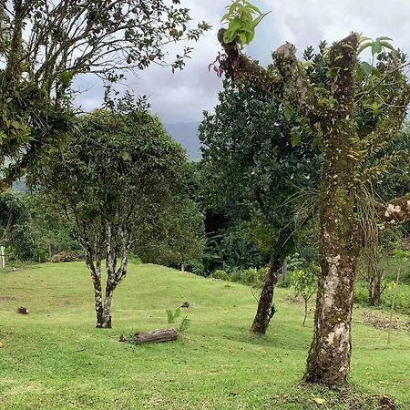 972B-Coin De Verdure Au Pied De La Montagne Pelee Le Morne-Rouge Eksteriør billede