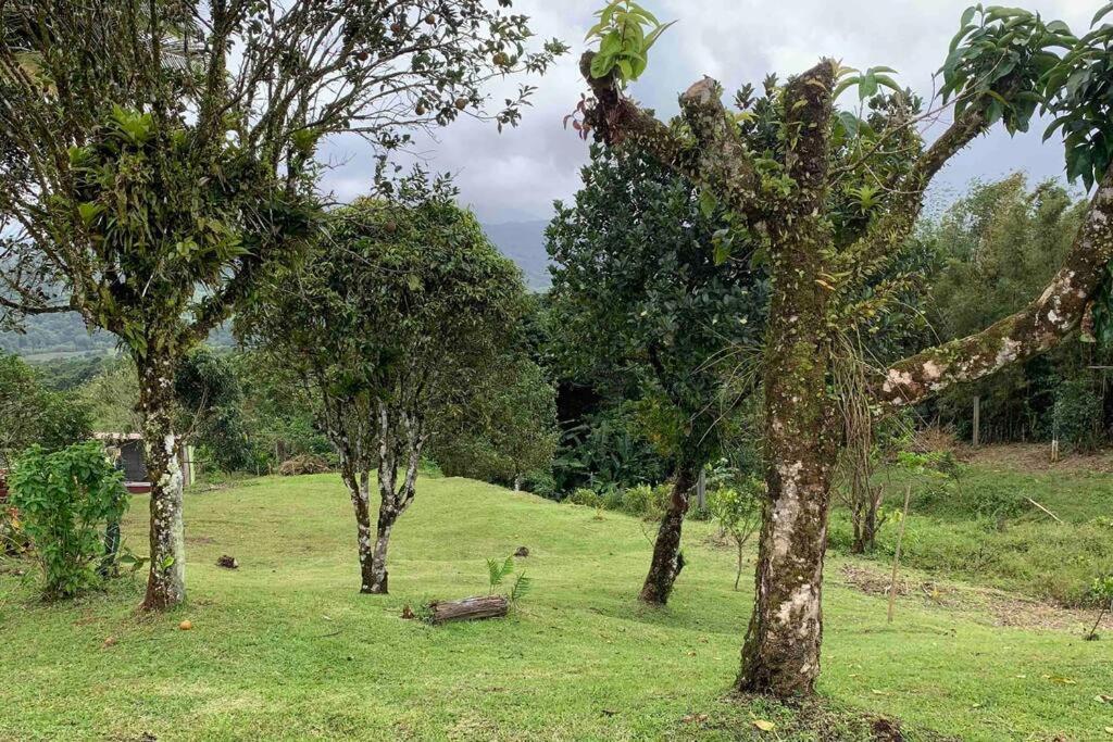 972B-Coin De Verdure Au Pied De La Montagne Pelee Le Morne-Rouge Eksteriør billede
